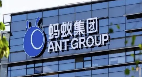螞蟻集團旗下數(shù)字螞力科技增資至1億，軟件外包服務能力再獲提升