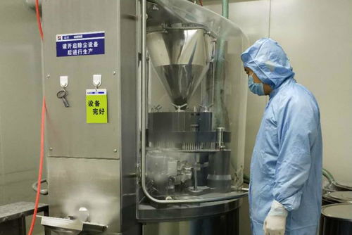 金花制藥廠順利完成GMP符合性自檢工作，全面承接總公司核心業務
