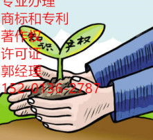 數(shù)字時(shí)代的視覺盛宴 高清圖片與網(wǎng)絡(luò)文化經(jīng)營(yíng)的融合與發(fā)展